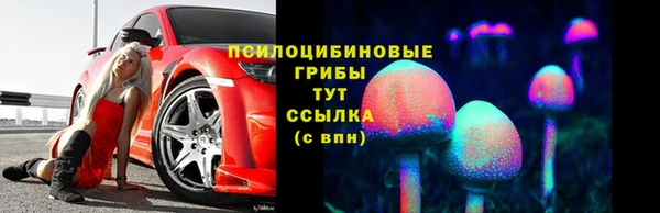ГАЛЛЮЦИНОГЕННЫЕ ГРИБЫ Лихославль