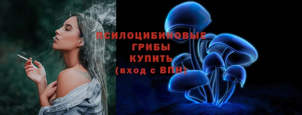 ГАЛЛЮЦИНОГЕННЫЕ ГРИБЫ Лихославль