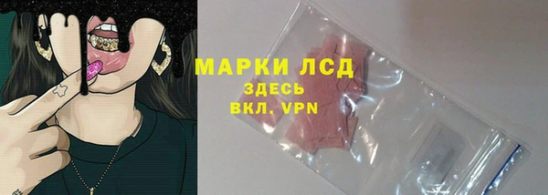 PSILOCYBIN Липки