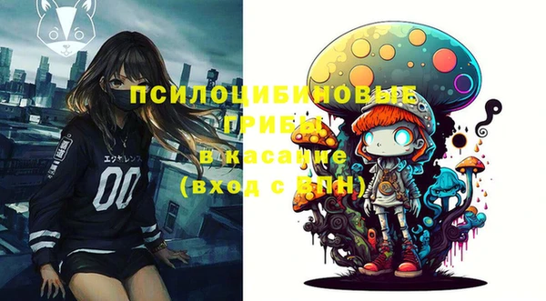 PSILOCYBIN Липки