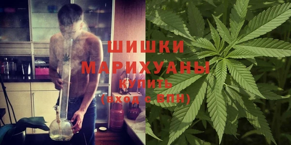 PSILOCYBIN Липки