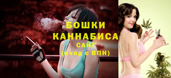 ГАЛЛЮЦИНОГЕННЫЕ ГРИБЫ Лихославль