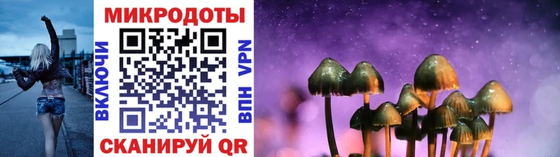 Купить где  Новозыбков  Галлюциногенные грибы мицелий 